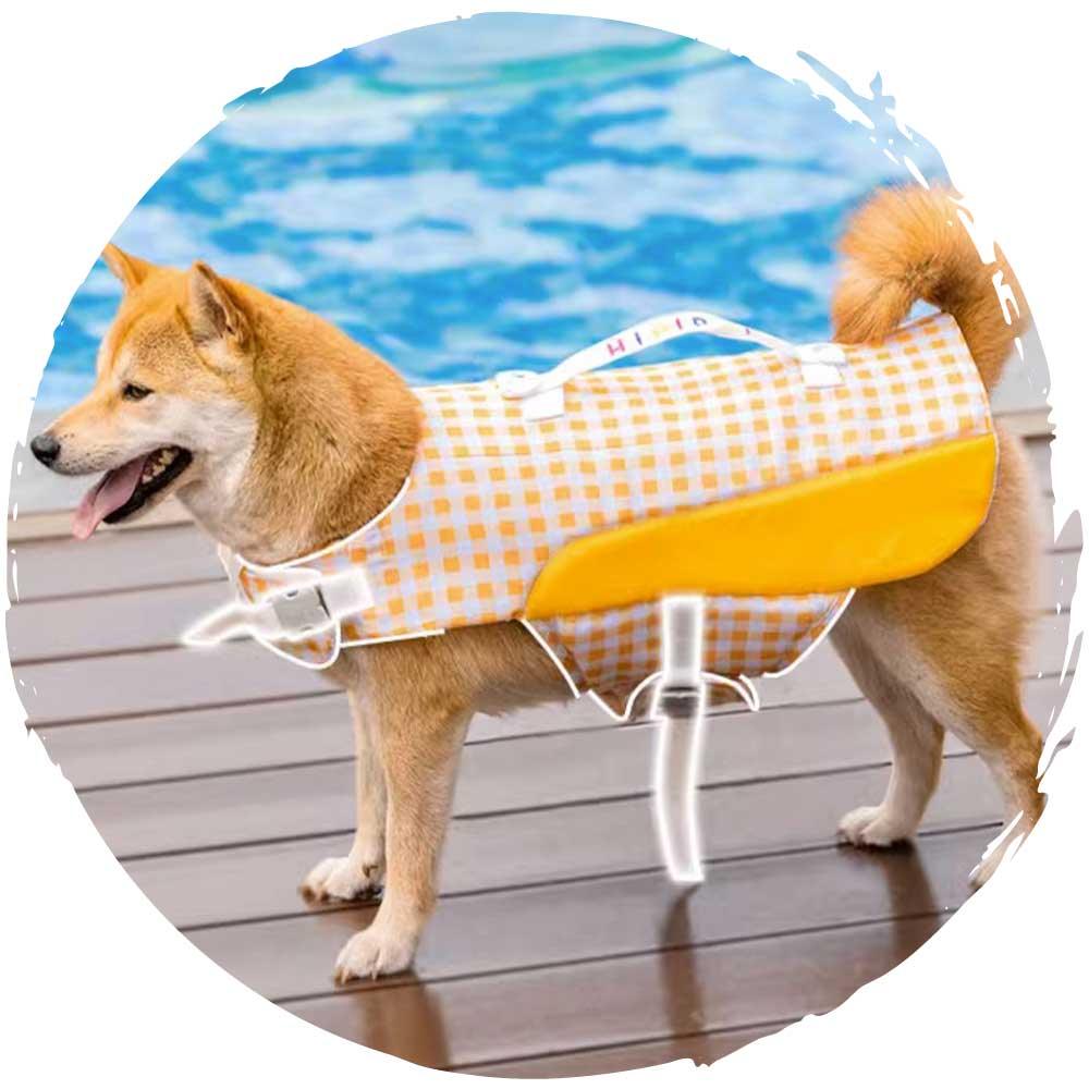 hipipet🏊‍♂️夏季狗狗玩水游泳可愛格仔小型狗狗泳衣(藍色)-狗-毛孩物語Pets Thing｜香港寵物貓狗用品專門店：IATA寵物飛機籠、寵物手推車、貓爬架貓樹