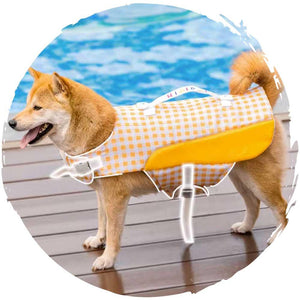 hipipet🏊‍♂️夏季狗狗玩水游泳可愛格仔小型狗狗泳衣(黃色)-狗-毛孩物語Pets Thing｜香港寵物貓狗用品專門店：IATA寵物飛機籠、寵物手推車、貓爬架貓樹