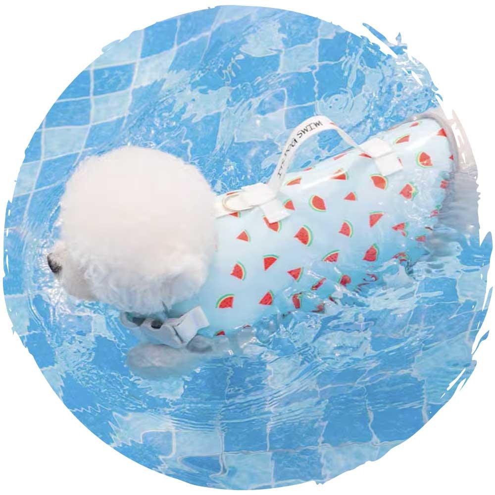 hipipet🏊‍♂️夏季狗狗玩水游泳可愛格仔小型狗狗泳衣(櫻桃款)-狗-毛孩物語Pets Thing｜香港寵物貓狗用品專門店：IATA寵物飛機籠、寵物手推車、貓爬架貓樹