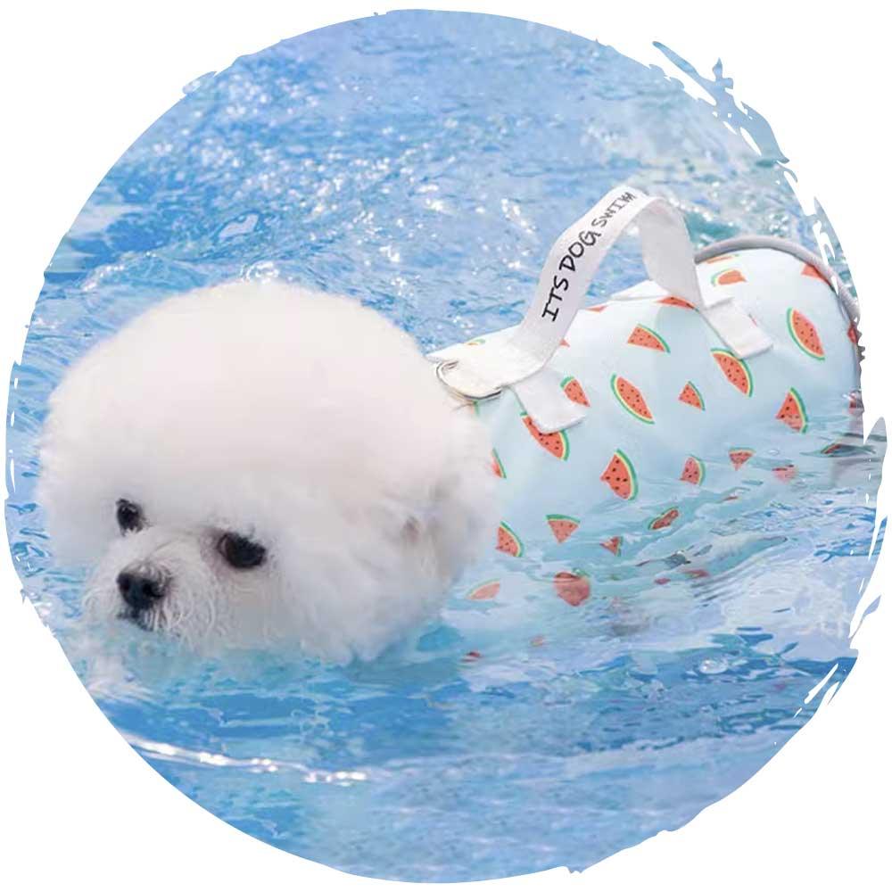 hipipet🏊‍♂️夏季狗狗玩水游泳可愛格仔小型狗狗泳衣(西瓜款)-狗-毛孩物語Pets Thing｜香港寵物貓狗用品專門店：IATA寵物飛機籠、寵物手推車、貓爬架貓樹