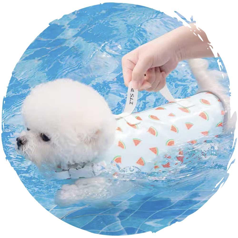 hipipet🏊‍♂️夏季狗狗玩水游泳可愛格仔小型狗狗泳衣(西瓜款)-狗-毛孩物語Pets Thing｜香港寵物貓狗用品專門店：IATA寵物飛機籠、寵物手推車、貓爬架貓樹