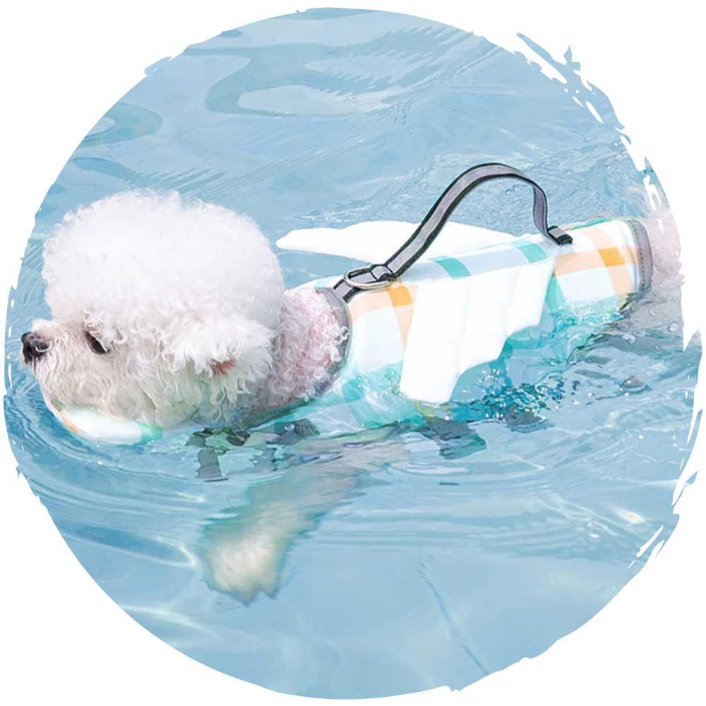 hipipet🏊‍♂️夏季狗狗玩水游泳救生衣狗泳衣(小蜜蜂)-狗-毛孩物語Pets Thing｜香港寵物貓狗用品專門店：IATA寵物飛機籠、寵物手推車、貓爬架貓樹
