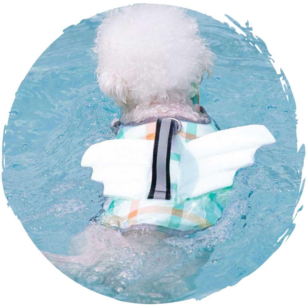 hipipet🏊‍♂️夏季狗狗玩水游泳救生衣狗泳衣(小蜜蜂)-狗-毛孩物語Pets Thing｜香港寵物貓狗用品專門店：IATA寵物飛機籠、寵物手推車、貓爬架貓樹