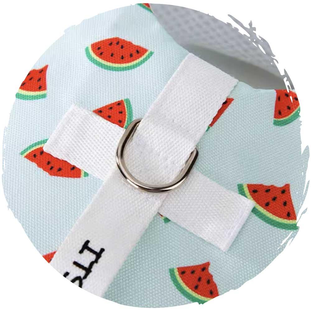 hipipet🏊‍♂️夏季狗狗玩水游泳可愛格仔小型狗狗泳衣(西瓜款)-狗-毛孩物語Pets Thing｜香港寵物貓狗用品專門店：IATA寵物飛機籠、寵物手推車、貓爬架貓樹