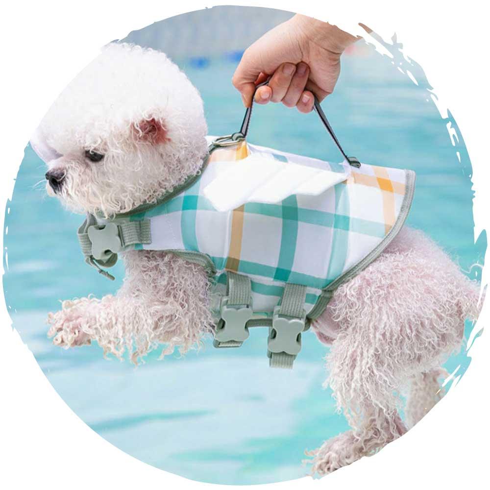 hipipet🏊‍♂️夏季狗狗玩水游泳救生衣狗泳衣(黃色)-狗-毛孩物語Pets Thing｜香港寵物貓狗用品專門店：IATA寵物飛機籠、寵物手推車、貓爬架貓樹