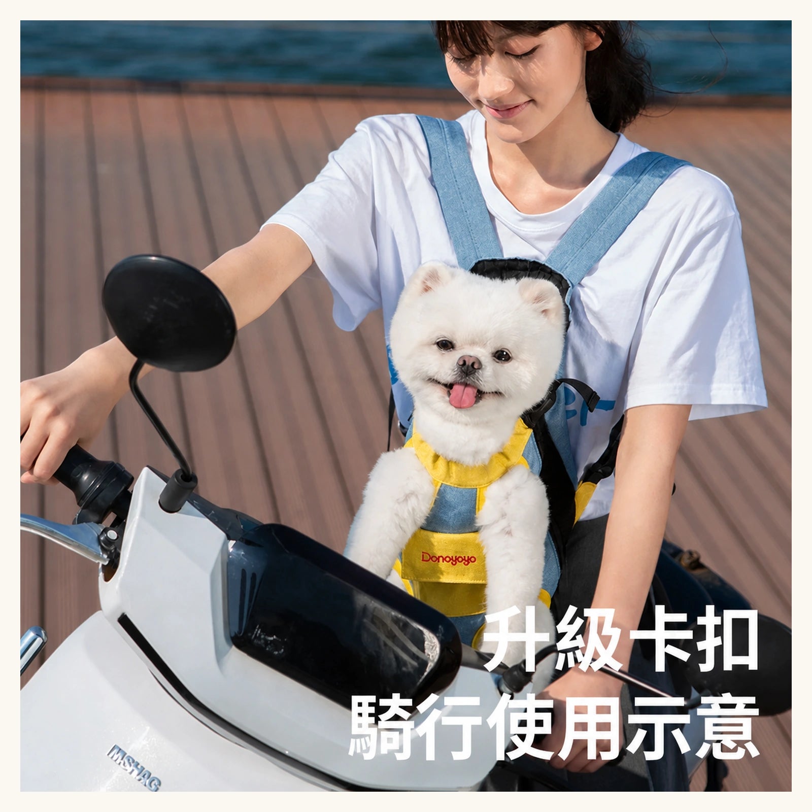 Dono 升級口袋款寵物前抱／後揹背帶（4 款・S–XXXL）-寵物胸背帶-毛孩物語Pets Thing｜香港寵物貓狗用品專門店：IATA寵物飛機籠、寵物手推車、貓爬架貓樹