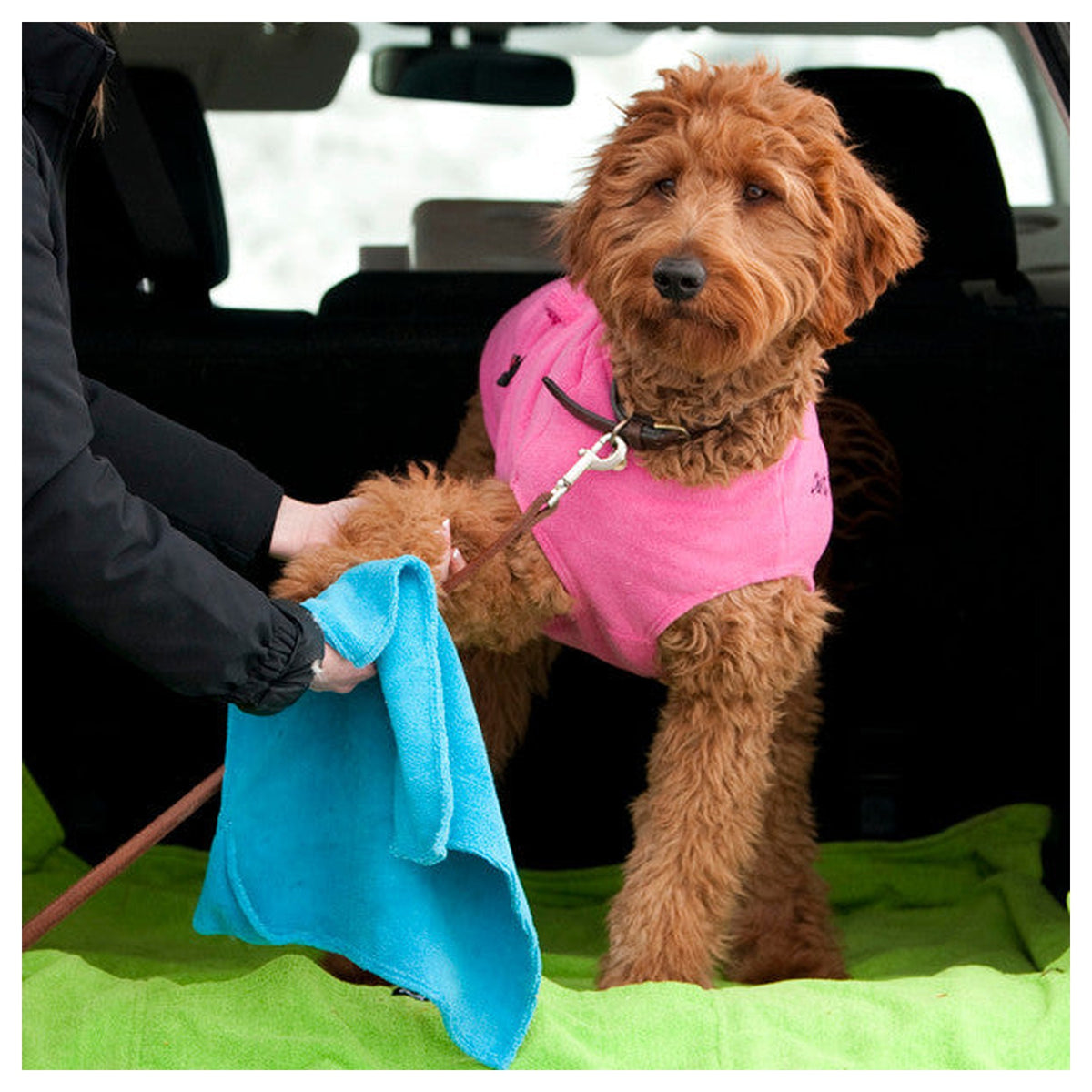 Chilly Dogs Soaker Paw Towel｜狗狗清潔毛巾｜加拿大直送 產品細節圖 2