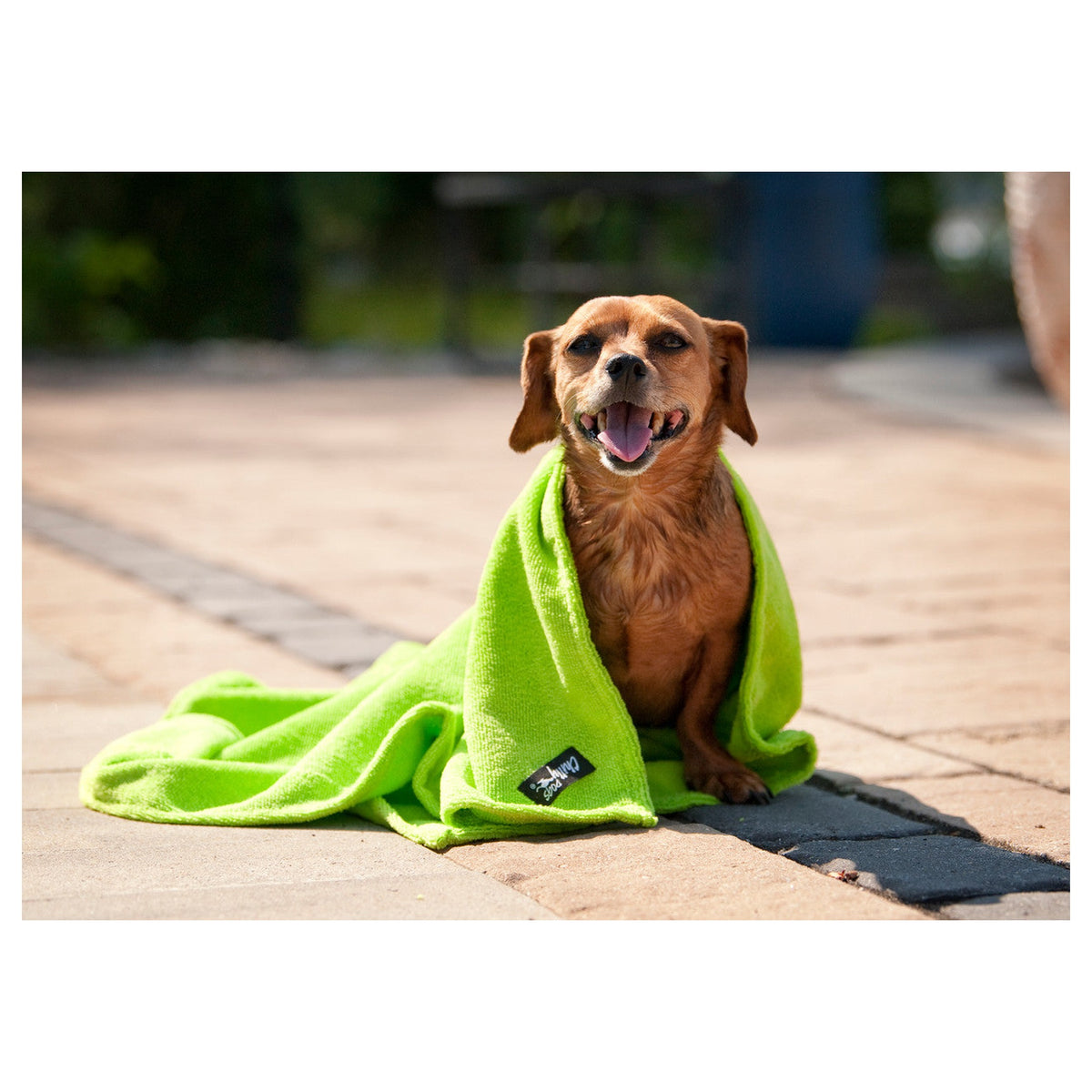 Chilly Dogs Soaker Bath & Paw Towel Gift Set｜狗狗清潔毛巾｜加拿大直送 產品細節圖 3