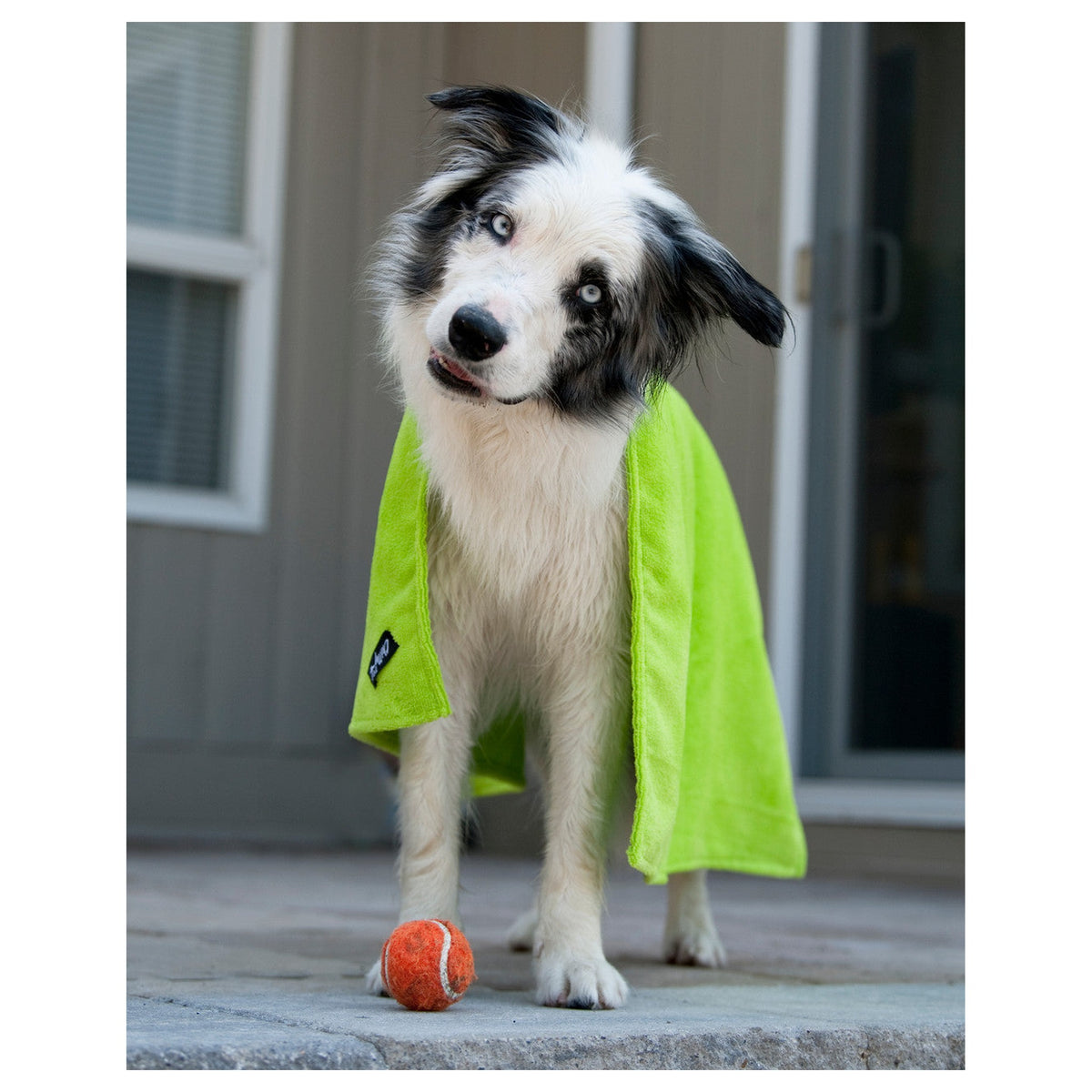 Chilly Dogs Soaker Bath & Paw Towel Gift Set｜狗狗清潔毛巾｜加拿大直送 產品細節圖 4