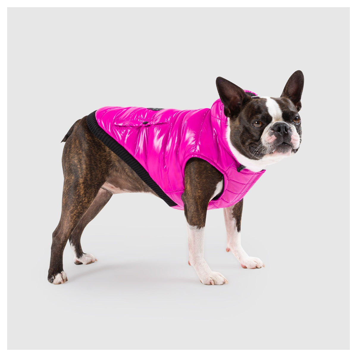 Canada Pooch Shiny Puffer Vest｜狗狗服飾｜加拿大直送-狗-毛孩物語Pets Thing｜香港寵物貓狗用品專門店：IATA寵物飛機籠、寵物手推車、貓爬架貓樹