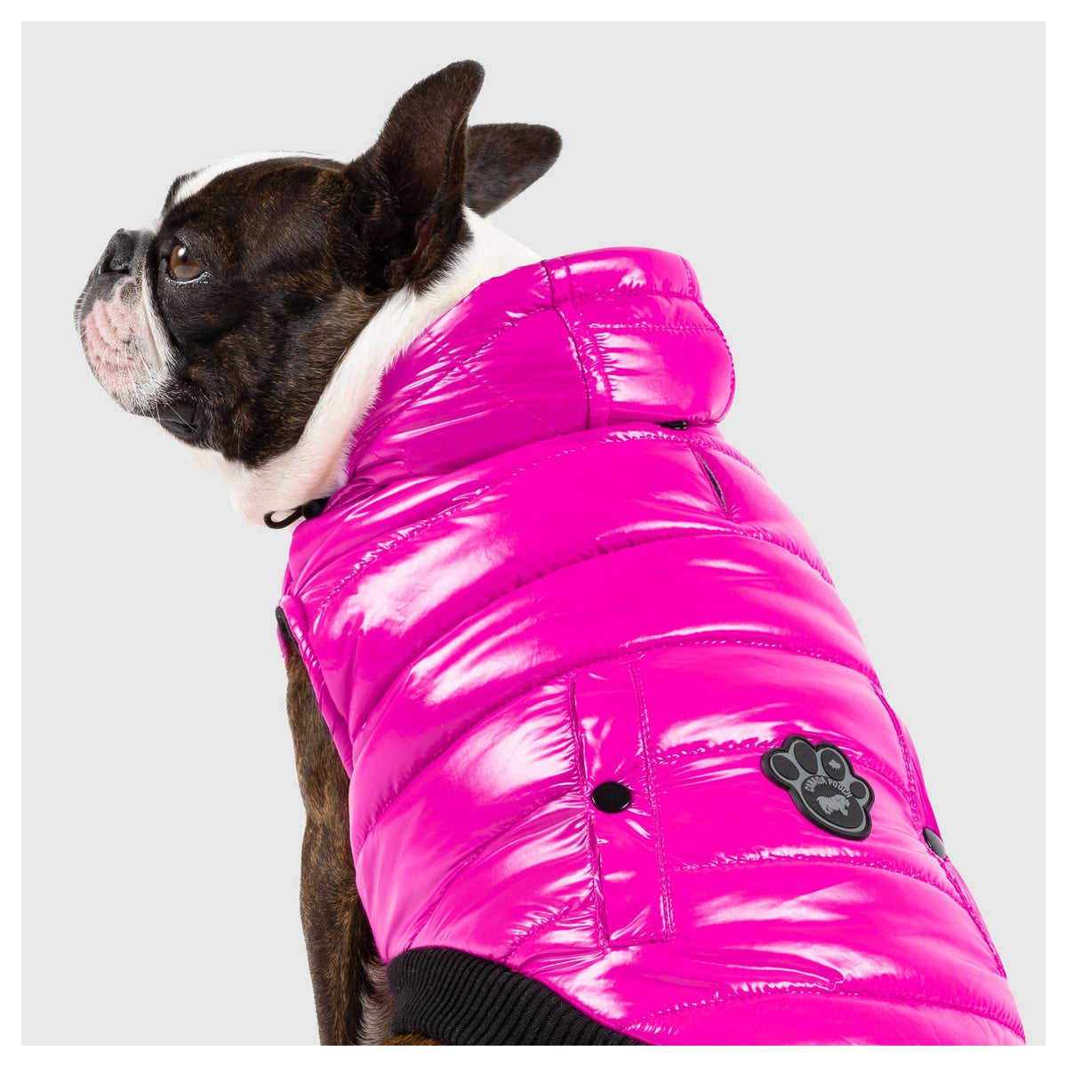 Canada Pooch Shiny Puffer Vest｜狗狗服飾｜加拿大直送-狗-毛孩物語Pets Thing｜香港寵物貓狗用品專門店：IATA寵物飛機籠、寵物手推車、貓爬架貓樹