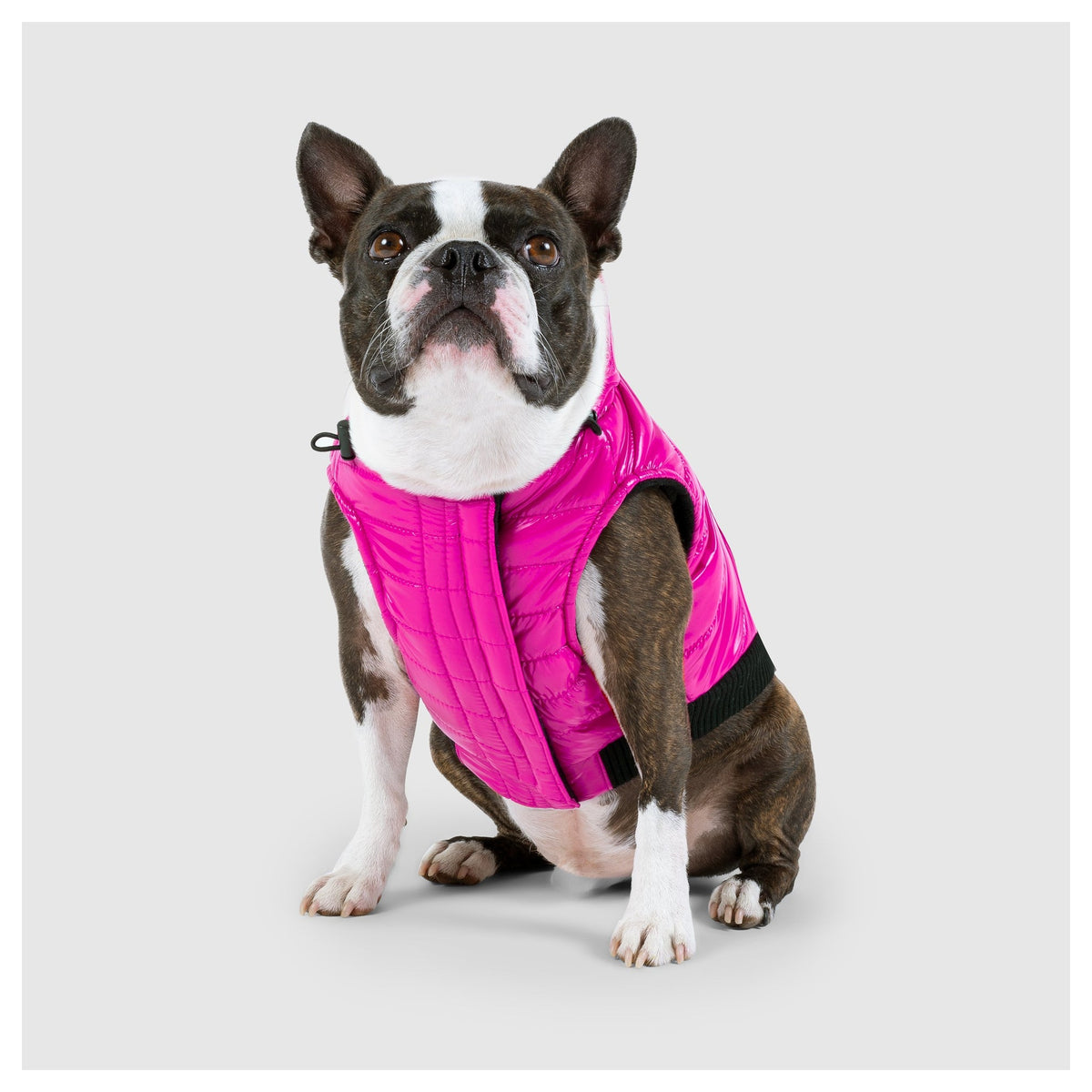 Canada Pooch Shiny Puffer Vest｜狗狗服飾｜加拿大直送-狗-毛孩物語Pets Thing｜香港寵物貓狗用品專門店：IATA寵物飛機籠、寵物手推車、貓爬架貓樹