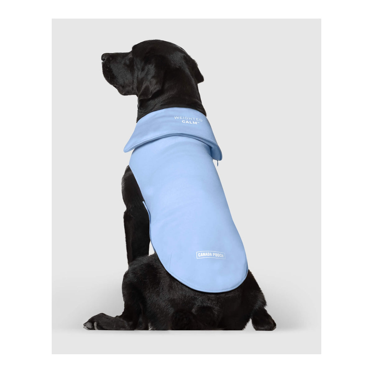 Canada Pooch Weighted Calming Vest｜狗狗服飾｜加拿大直送-狗-毛孩物語Pets Thing｜香港寵物貓狗用品專門店：IATA寵物飛機籠、寵物手推車、貓爬架貓樹
