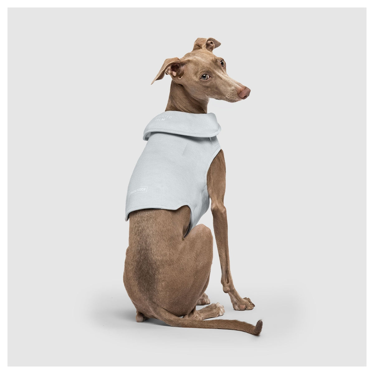 Canada Pooch Weighted Calming Vest｜狗狗服飾｜加拿大直送-狗-毛孩物語Pets Thing｜香港寵物貓狗用品專門店：IATA寵物飛機籠、寵物手推車、貓爬架貓樹