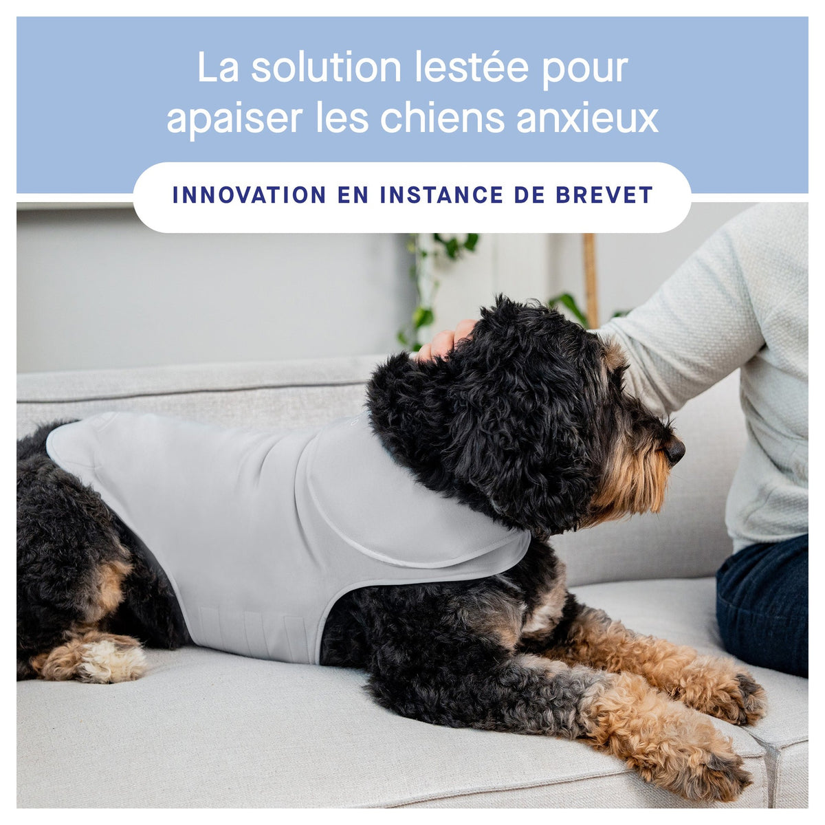 Canada Pooch Weighted Calming Vest｜狗狗服飾｜加拿大直送-狗-毛孩物語Pets Thing｜香港寵物貓狗用品專門店：IATA寵物飛機籠、寵物手推車、貓爬架貓樹