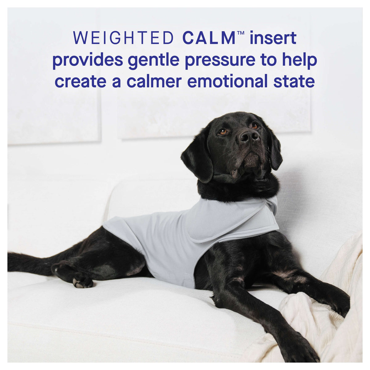 Canada Pooch Weighted Calming Vest｜狗狗服飾｜加拿大直送-狗-毛孩物語Pets Thing｜香港寵物貓狗用品專門店：IATA寵物飛機籠、寵物手推車、貓爬架貓樹