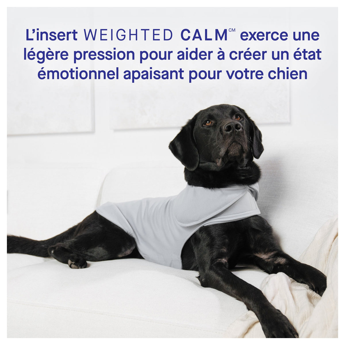 Canada Pooch Weighted Calming Vest｜狗狗服飾｜加拿大直送-狗-毛孩物語Pets Thing｜香港寵物貓狗用品專門店：IATA寵物飛機籠、寵物手推車、貓爬架貓樹