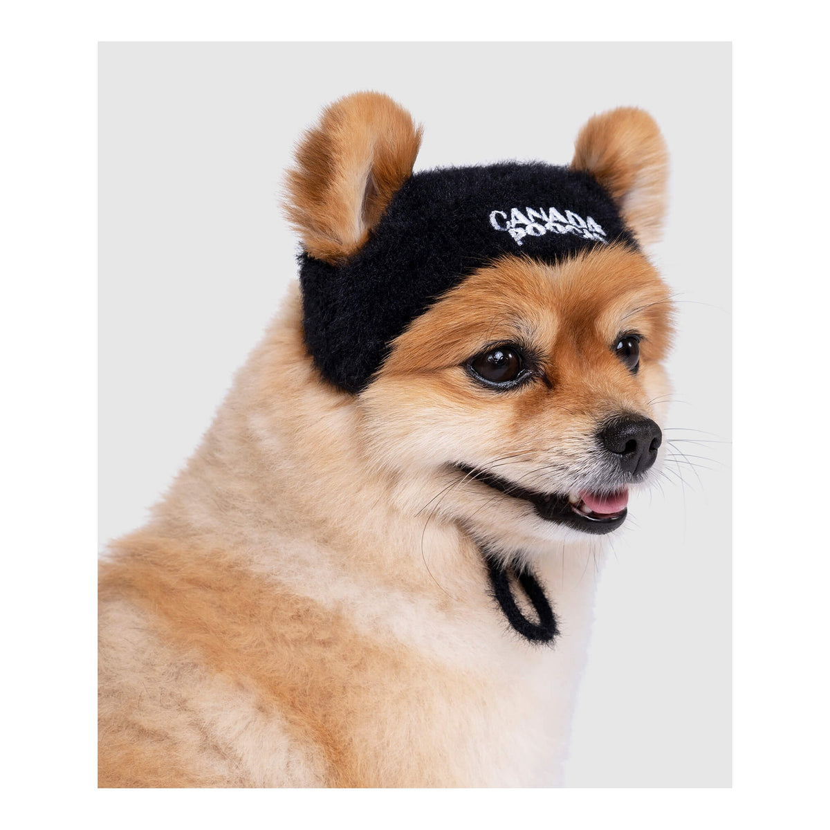 Canada Pooch Pawparazzi Beanie｜狗狗服飾｜加拿大直送-狗-毛孩物語Pets Thing｜香港寵物貓狗用品專門店：IATA寵物飛機籠、寵物手推車、貓爬架貓樹