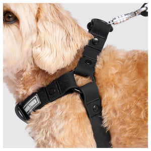 Canada Pooch Waterproof Harness｜狗狗胸帶及戶外用品｜加拿大直送-寵物胸背帶-毛孩物語Pets Thing｜香港寵物貓狗用品專門店：IATA寵物飛機籠、寵物手推車、貓爬架貓樹