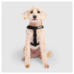 Canada Pooch Waterproof Harness｜狗狗胸帶及戶外用品｜加拿大直送-寵物胸背帶-毛孩物語Pets Thing｜香港寵物貓狗用品專門店：IATA寵物飛機籠、寵物手推車、貓爬架貓樹