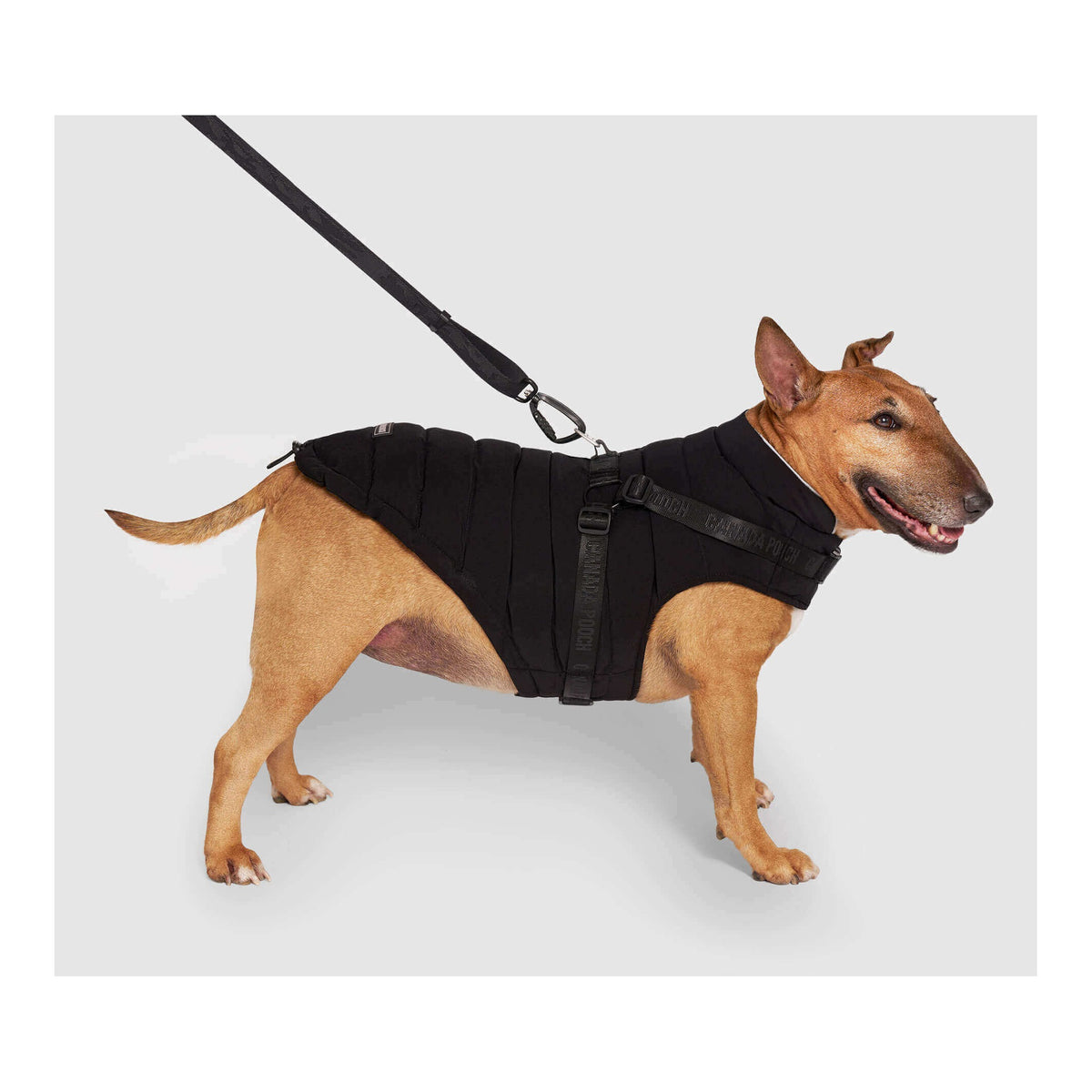 Canada Pooch Harness Puffer｜狗狗服飾｜加拿大直送 主產品圖