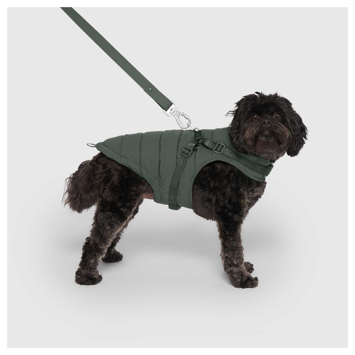 Canada Pooch Harness Puffer｜狗狗服飾｜加拿大直送 產品細節圖 2