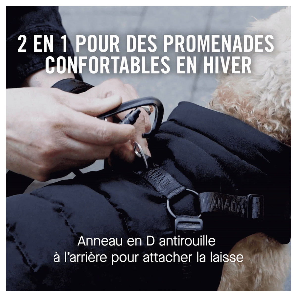 Canada Pooch Harness Puffer｜狗狗服飾｜加拿大直送 產品細節圖 5