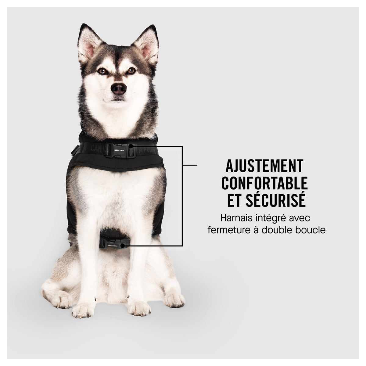 Canada Pooch Harness Puffer｜狗狗服飾｜加拿大直送 產品細節圖 7