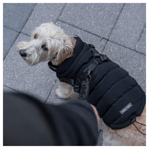 Canada Pooch Harness Puffer｜狗狗服飾｜加拿大直送 產品細節圖 8