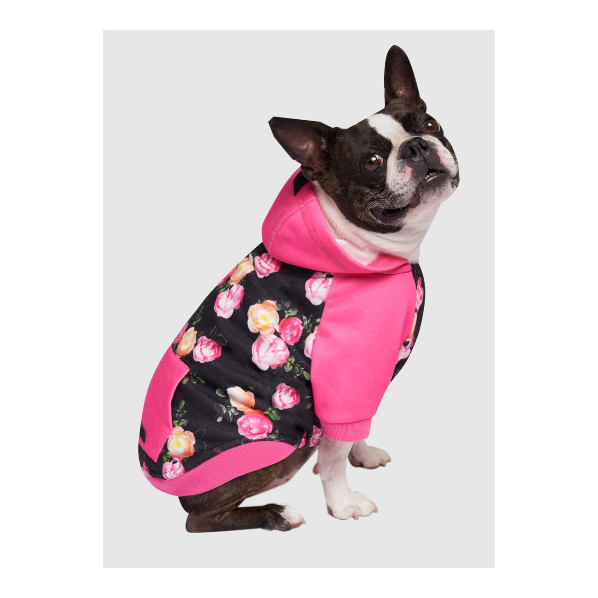 Canada Pooch Whatever The Weather Hoodie｜狗狗服飾｜加拿大直送-狗-毛孩物語Pets Thing｜香港寵物貓狗用品專門店：IATA寵物飛機籠、寵物手推車、貓爬架貓樹