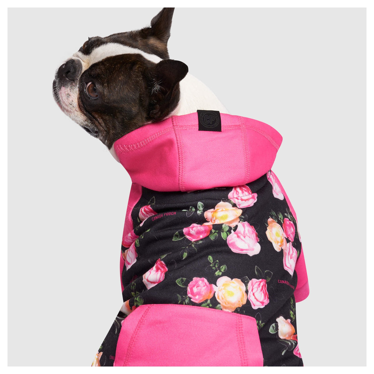 Canada Pooch Whatever The Weather Hoodie｜狗狗服飾｜加拿大直送-狗-毛孩物語Pets Thing｜香港寵物貓狗用品專門店：IATA寵物飛機籠、寵物手推車、貓爬架貓樹