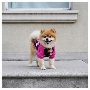 Canada Pooch Whatever The Weather Hoodie｜狗狗服飾｜加拿大直送-狗-毛孩物語Pets Thing｜香港寵物貓狗用品專門店：IATA寵物飛機籠、寵物手推車、貓爬架貓樹