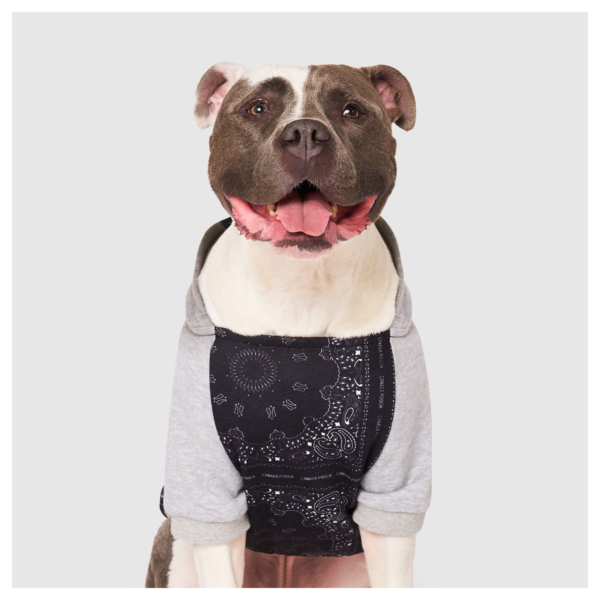 Canada Pooch Whatever The Weather Hoodie｜狗狗服飾｜加拿大直送-狗-毛孩物語Pets Thing｜香港寵物貓狗用品專門店：IATA寵物飛機籠、寵物手推車、貓爬架貓樹