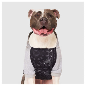 Canada Pooch Whatever The Weather Hoodie｜狗狗服飾｜加拿大直送-狗-毛孩物語Pets Thing｜香港寵物貓狗用品專門店：IATA寵物飛機籠、寵物手推車、貓爬架貓樹