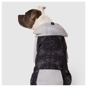 Canada Pooch Whatever The Weather Hoodie｜狗狗服飾｜加拿大直送-狗-毛孩物語Pets Thing｜香港寵物貓狗用品專門店：IATA寵物飛機籠、寵物手推車、貓爬架貓樹