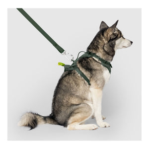 Canada Pooch Neoprene Harness｜狗狗胸帶及戶外用品｜加拿大直送 主產品圖