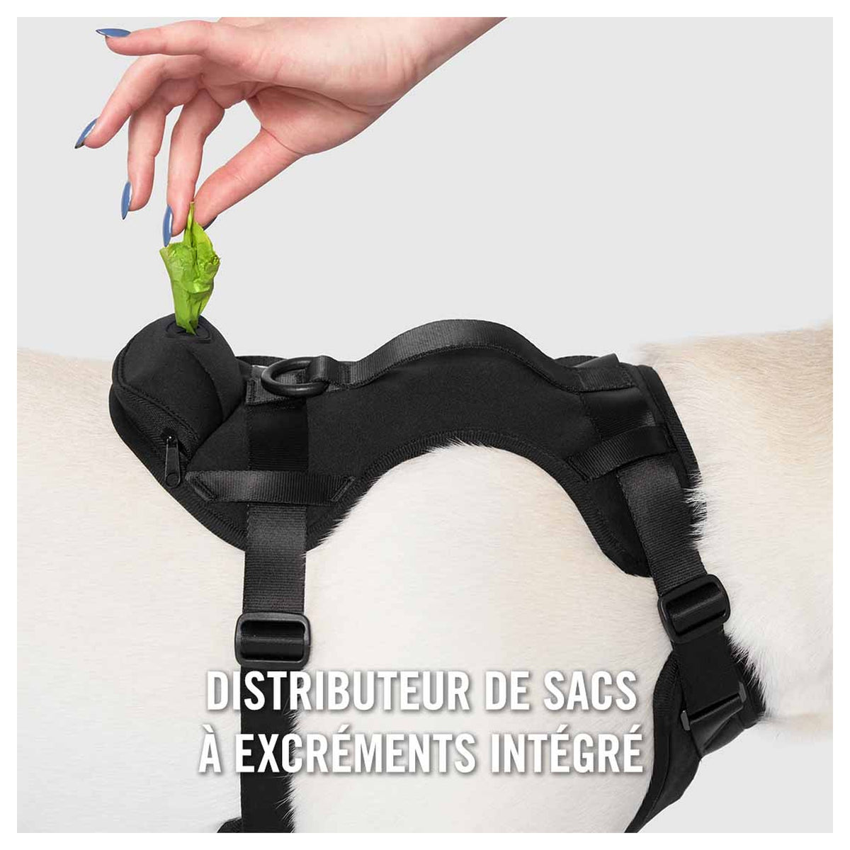Canada Pooch Neoprene Harness｜狗狗胸帶及戶外用品｜加拿大直送 產品細節圖 5