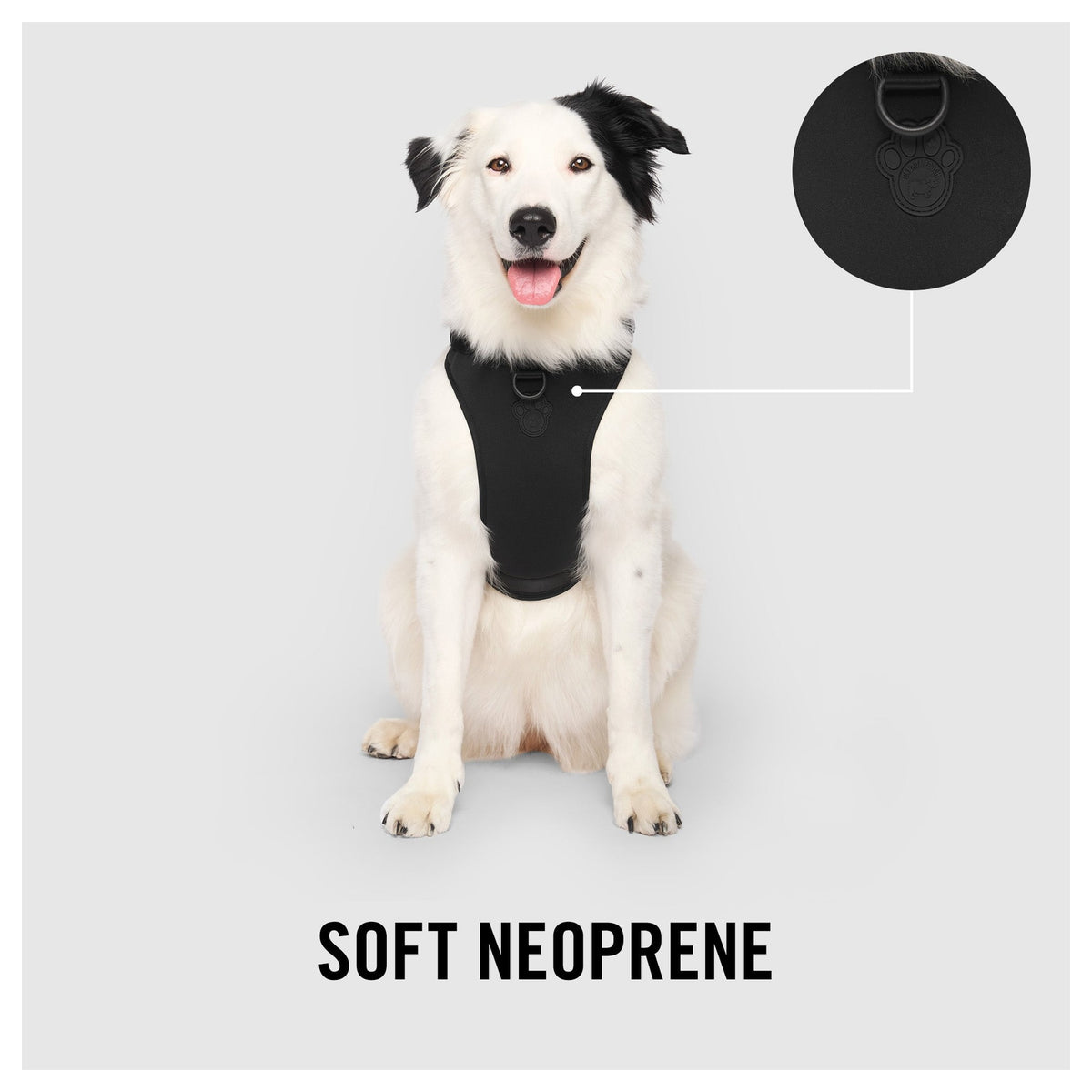 Canada Pooch Neoprene Harness｜狗狗胸帶及戶外用品｜加拿大直送 產品細節圖 8