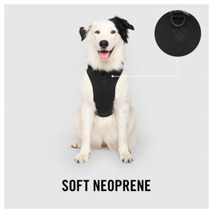 Canada Pooch Neoprene Harness｜狗狗胸帶及戶外用品｜加拿大直送 產品細節圖 8