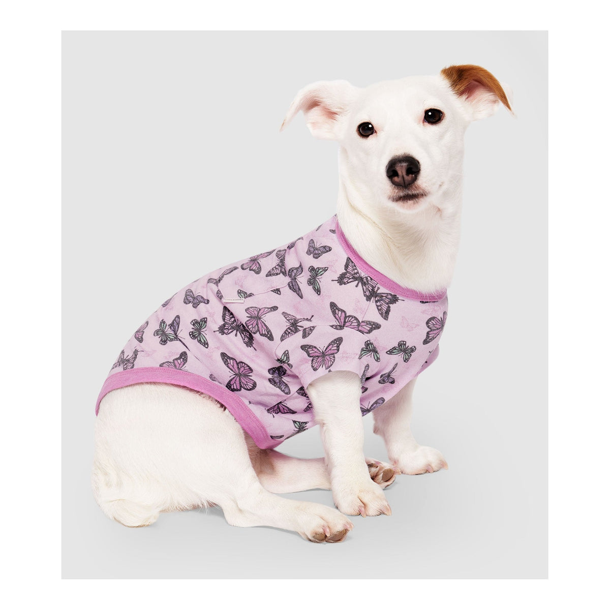 Canada Pooch Follow Me Tee｜狗狗服飾｜加拿大直送-狗-毛孩物語Pets Thing｜香港寵物貓狗用品專門店：IATA寵物飛機籠、寵物手推車、貓爬架貓樹