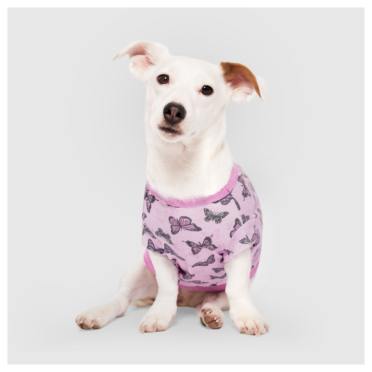 Canada Pooch Follow Me Tee｜狗狗服飾｜加拿大直送-狗-毛孩物語Pets Thing｜香港寵物貓狗用品專門店：IATA寵物飛機籠、寵物手推車、貓爬架貓樹