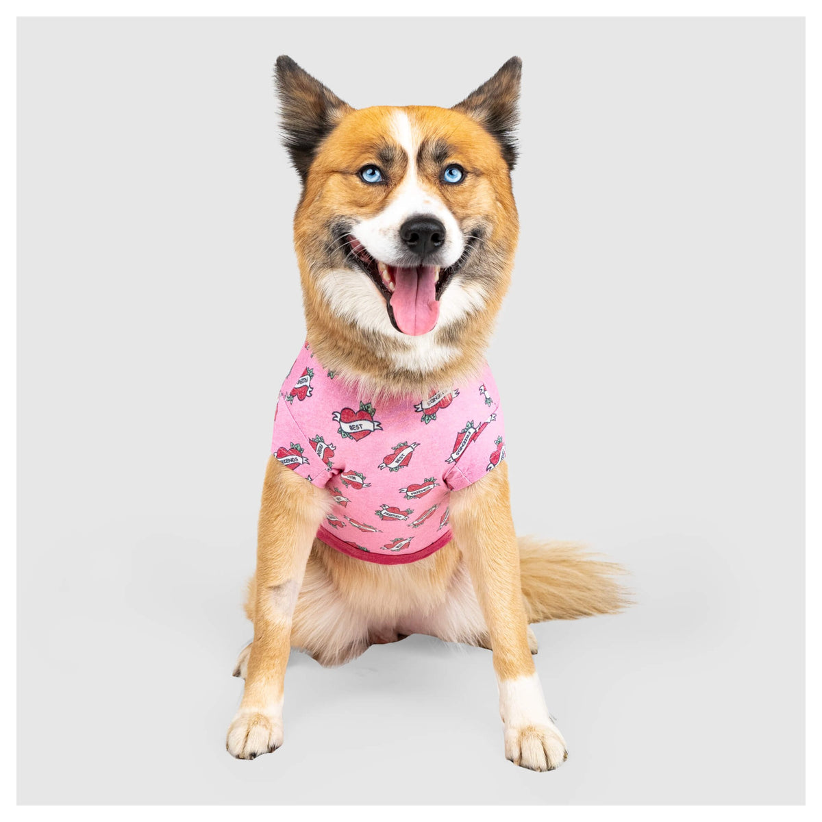 Canada Pooch Follow Me Tee｜狗狗服飾｜加拿大直送-狗-毛孩物語Pets Thing｜香港寵物貓狗用品專門店：IATA寵物飛機籠、寵物手推車、貓爬架貓樹