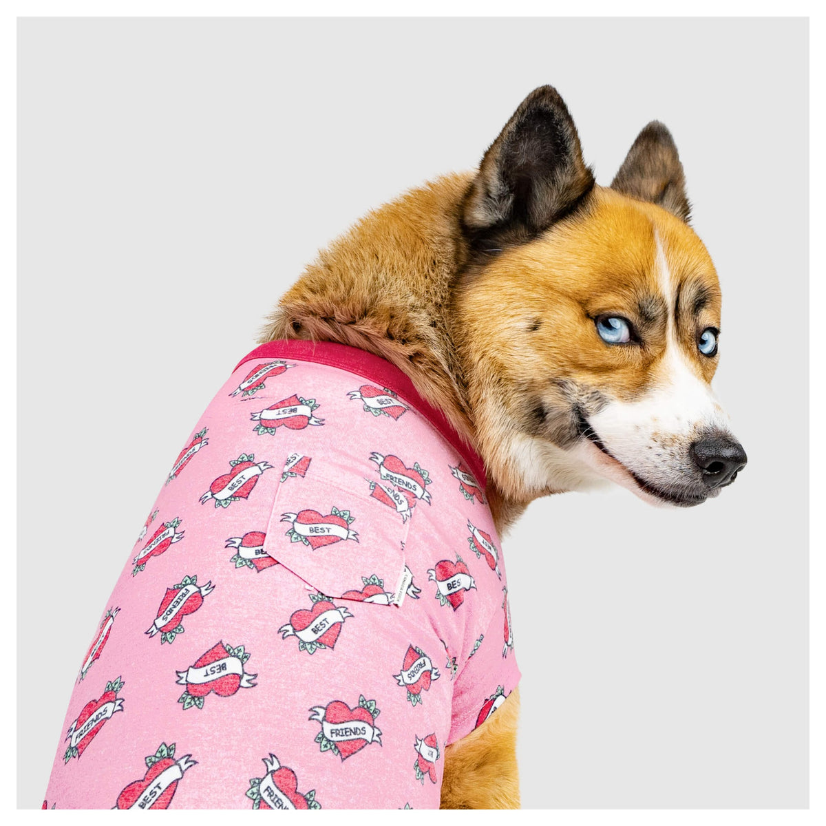 Canada Pooch Follow Me Tee｜狗狗服飾｜加拿大直送-狗-毛孩物語Pets Thing｜香港寵物貓狗用品專門店：IATA寵物飛機籠、寵物手推車、貓爬架貓樹