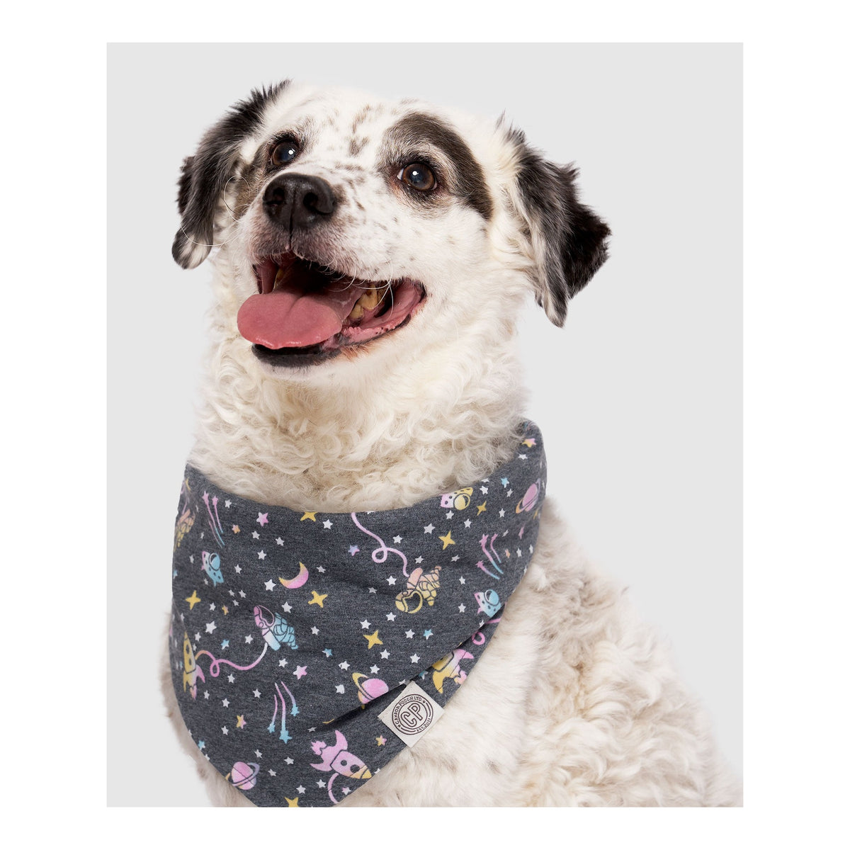 Canada Pooch Follow Me Bandana｜狗狗服飾｜加拿大直送 主產品圖