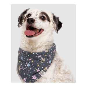 Canada Pooch Follow Me Bandana｜狗狗服飾｜加拿大直送 主產品圖