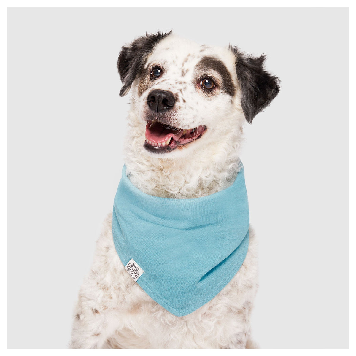 Canada Pooch Follow Me Bandana｜狗狗服飾｜加拿大直送 產品細節圖 2