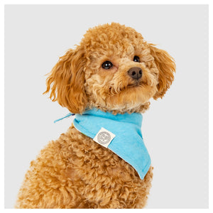 Canada Pooch Follow Me Bandana｜狗狗服飾｜加拿大直送 產品細節圖 6