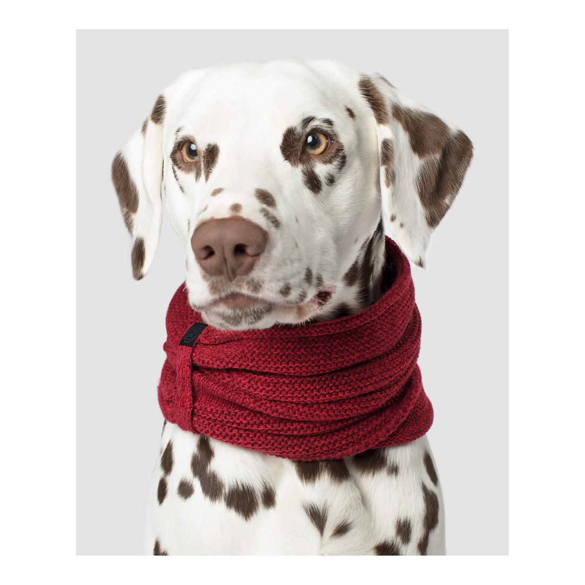 Canada Pooch Sierra Scarf｜狗狗服飾｜加拿大直送 主產品圖