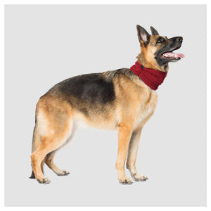 Canada Pooch Sierra Scarf｜狗狗服飾｜加拿大直送 產品細節圖 2