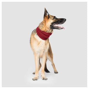 Canada Pooch Sierra Scarf｜狗狗服飾｜加拿大直送 產品細節圖 3